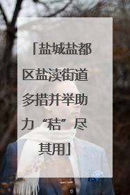 盐城盐都区盐渎街道多措并举助力“秸”尽其用