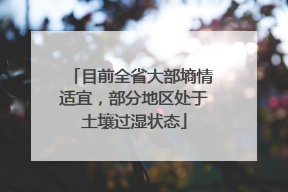 目前全省大部墒情适宜，部分地区处于土壤过湿状态