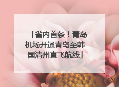省内首条！青岛机场开通青岛至韩国清州直飞航线