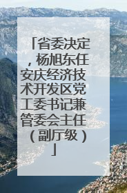 省委决定，杨旭东任安庆经济技术开发区党工委书记兼管委会主任（副厅级）