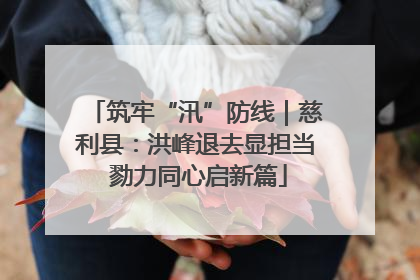 筑牢“汛”防线｜慈利县：洪峰退去显担当 勠力同心启新篇