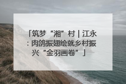 筑梦“湘”村｜江永：肉鸽振翅绘就乡村振兴“金羽画卷”