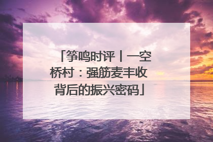 筝鸣时评丨一空桥村：强筋麦丰收背后的振兴密码