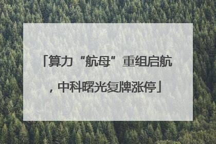 算力“航母”重组启航，中科曙光复牌涨停