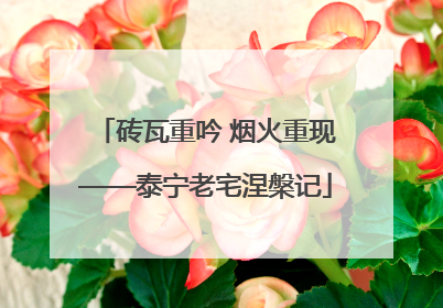 砖瓦重吟 烟火重现——泰宁老宅涅槃记