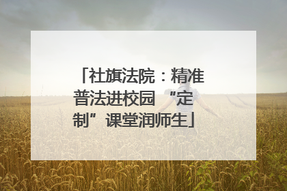 社旗法院：精准普法进校园 “定制”课堂润师生