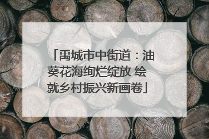 禹城市中街道：油葵花海绚烂绽放 绘就乡村振兴新画卷