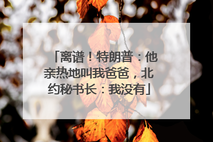 离谱！特朗普：他亲热地叫我爸爸，北约秘书长：我没有