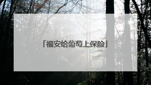 福安给葡萄上保险
