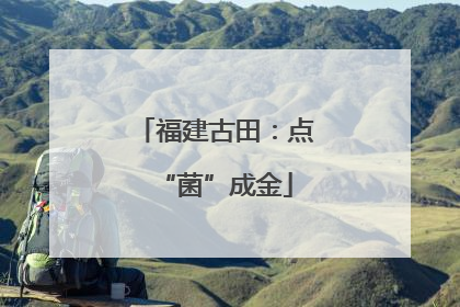 福建古田：点“菌”成金