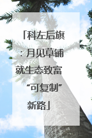 科左后旗：月见草铺就生态致富“可复制”新路