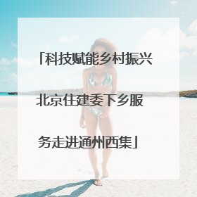 科技赋能乡村振兴 北京住建委下乡服务走进通州西集