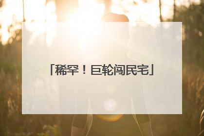 稀罕！巨轮闯民宅