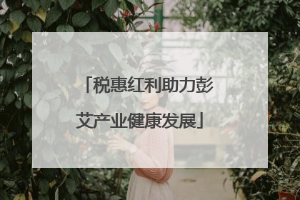 税惠红利助力彭艾产业健康发展