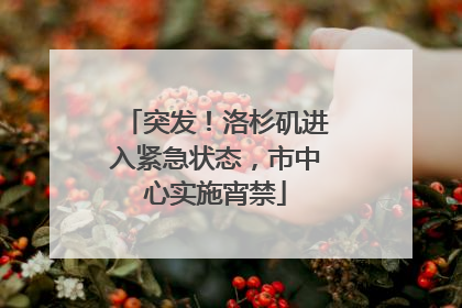 突发！洛杉矶进入紧急状态，市中心实施宵禁