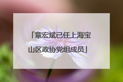 章宏斌已任上海宝山区政协党组成员