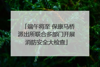 端午将至 保康马桥派出所联合多部门开展消防安全大检查