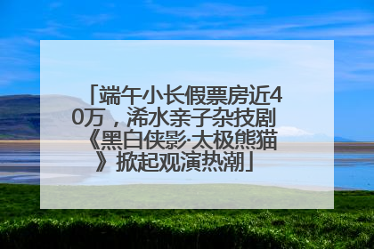 端午小长假票房近40万，浠水亲子杂技剧《黑白侠影·太极熊猫》掀起观演热潮