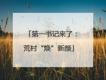 第一书记来了：荒村“焕”新颜