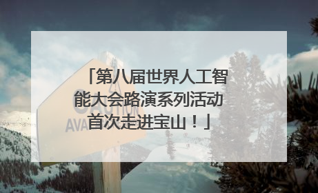 第八届世界人工智能大会路演系列活动首次走进宝山！