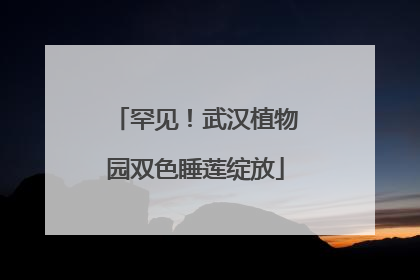 罕见！武汉植物园双色睡莲绽放