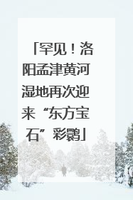 罕见！洛阳孟津黄河湿地再次迎来“东方宝石”彩鹮