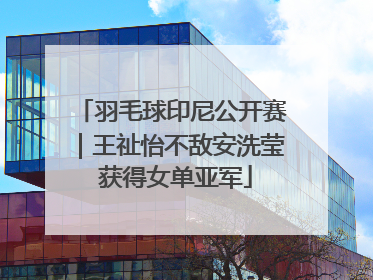 羽毛球印尼公开赛｜王祉怡不敌安洗莹 获得女单亚军