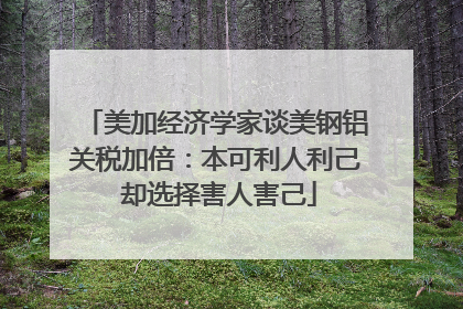 美加经济学家谈美钢铝关税加倍：本可利人利己 却选择害人害己