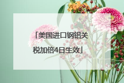 美国进口钢铝关税加倍4日生效