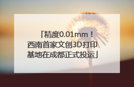 精度0.01mm！西南首家文创3D打印基地在成都正式投运