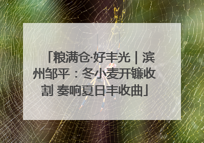 粮满仓·好丰光｜滨州邹平：冬小麦开镰收割 奏响夏日丰收曲