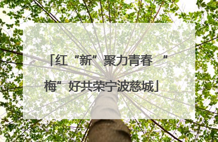 红“新”聚力青春 “梅”好共荣宁波慈城