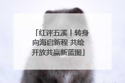红评五溪丨转身向海启新程 共绘开放共赢新蓝图