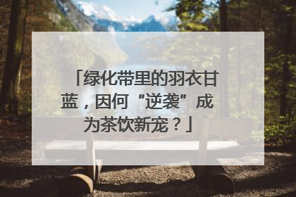 绿化带里的羽衣甘蓝，因何“逆袭”成为茶饮新宠？