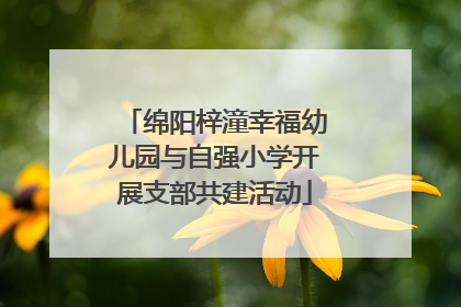 绵阳梓潼幸福幼儿园与自强小学开展支部共建活动