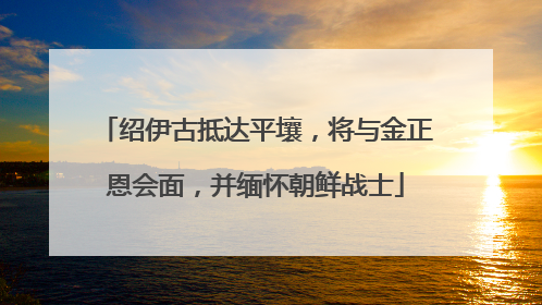 绍伊古抵达平壤，将与金正恩会面，并缅怀朝鲜战士