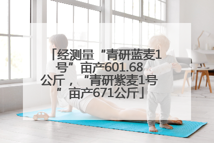 经测量“青研蓝麦1号”亩产601.68公斤，“青研紫麦1号”亩产671公斤