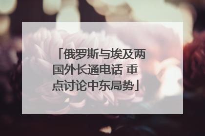 俄罗斯与埃及两国外长通电话 重点讨论中东局势