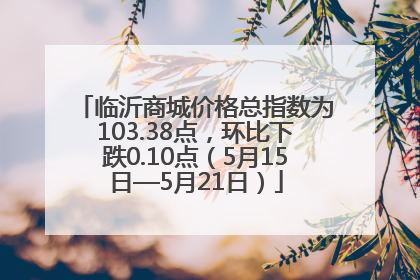 临沂商城价格总指数为103.38点，环比下跌0.10点（5月15日—5月21日）