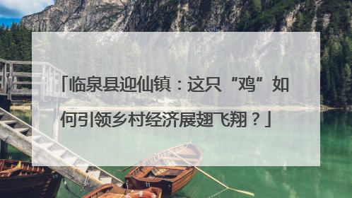 临泉县迎仙镇：这只“鸡”如何引领乡村经济展翅飞翔？