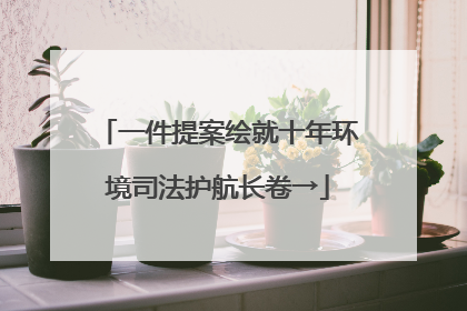 一件提案绘就十年环境司法护航长卷→