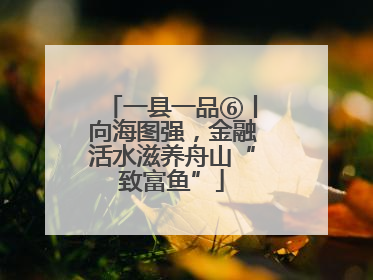 一县一品⑥丨向海图强，金融活水滋养舟山“致富鱼”