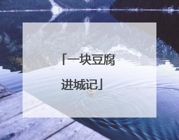 一块豆腐进城记
