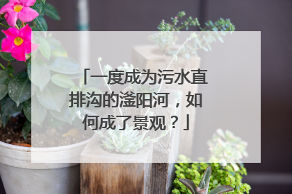 一度成为污水直排沟的滏阳河，如何成了景观？