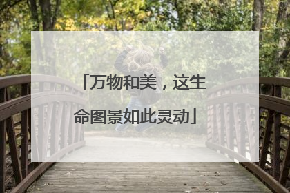 万物和美，这生命图景如此灵动