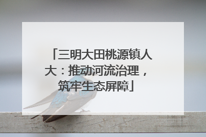 三明大田桃源镇人大：推动河流治理，筑牢生态屏障