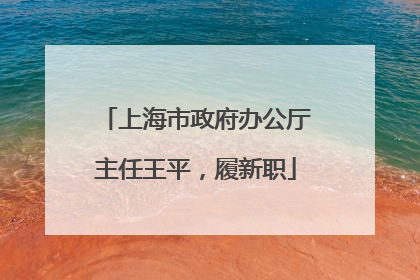 上海市政府办公厅主任王平，履新职