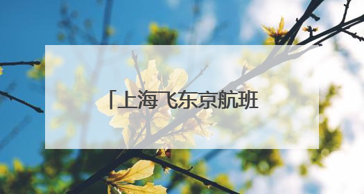 上海飞东京航班急速下降的第二天，“春秋航空日本”取消多趟航班