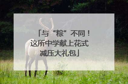 与“粽”不同！这所中学献上花式减压大礼包