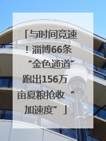 与时间竞速！淄博66条“金色通道”跑出156万亩夏粮抢收“加速度”